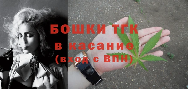 соль ск Верхний Тагил